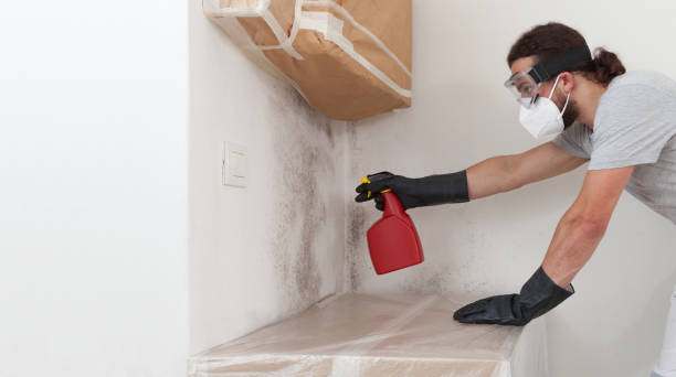 Professional Crawl Space Mold Remediation technician working in Oxford, NC