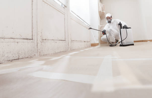24/7 Emergency Crawl Space Mold Remediation experts in Oxford, NC