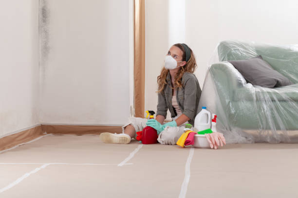 Reliable Crawl Space Mold Remediation contractor in Oxford, NC by Mold Remediation HQ